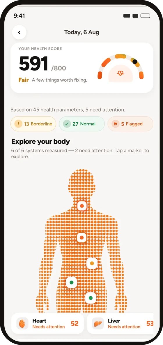 Body map: Health Score 591 of 800 with markers on the areas that need attention