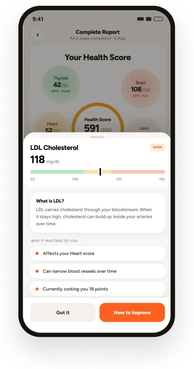 LDL Cholesterol explained: what it is and why it matters to you